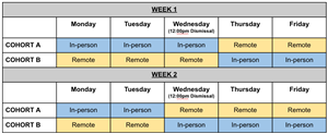 Hybrid Day by Day 